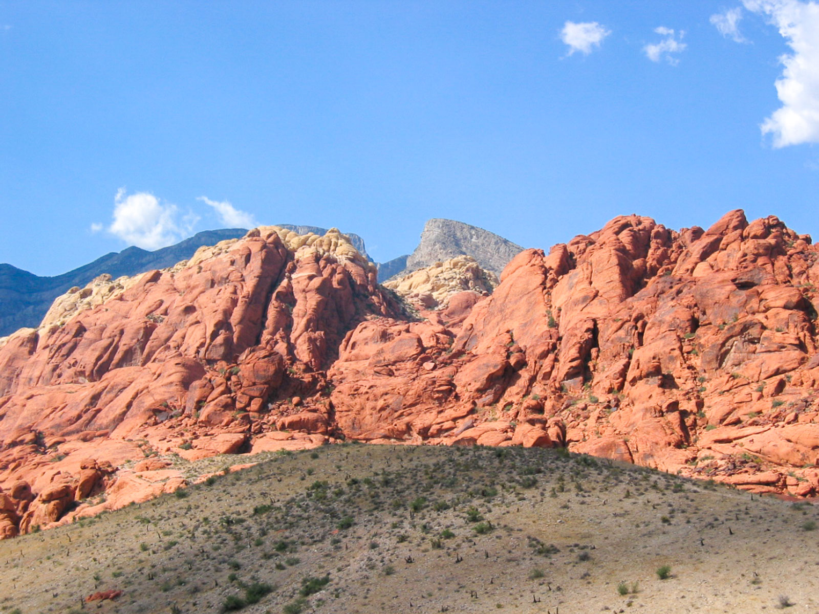 08 USA 2008 fabien et leslie 337